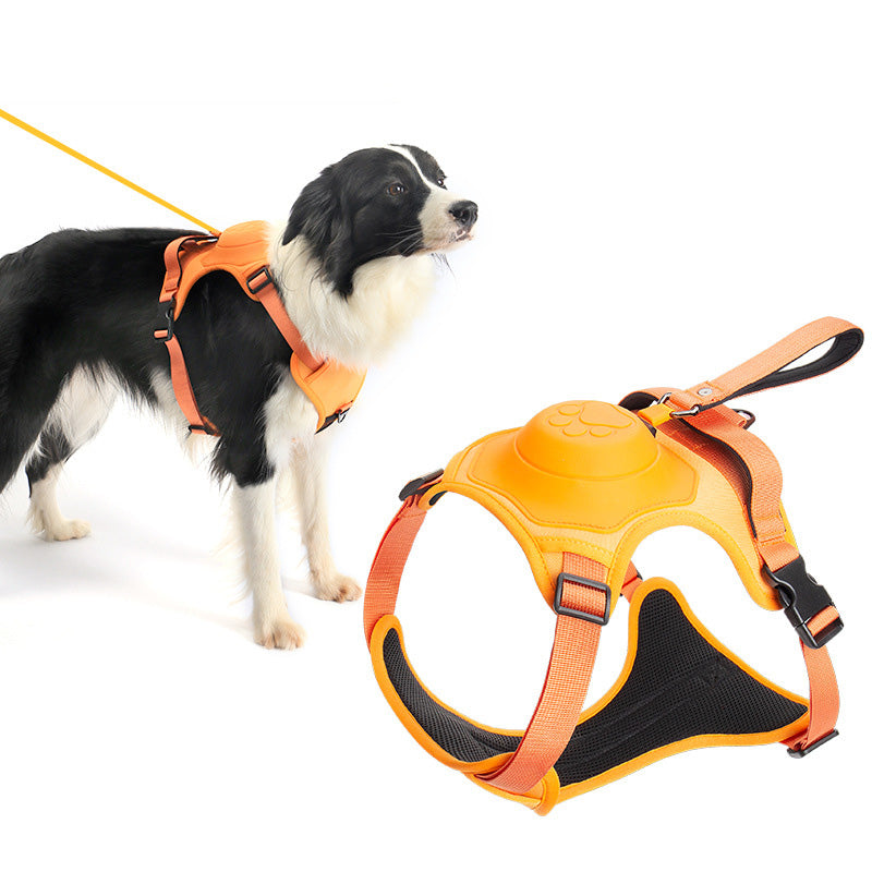 Retractable Hands Free Pet Leash & Harness