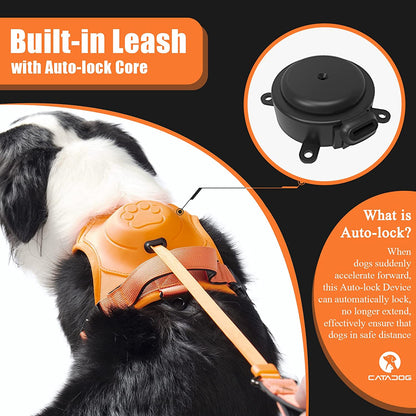 Retractable Hands Free Pet Leash & Harness