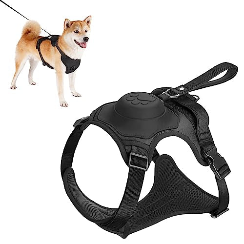 Retractable Hands Free Pet Leash & Harness