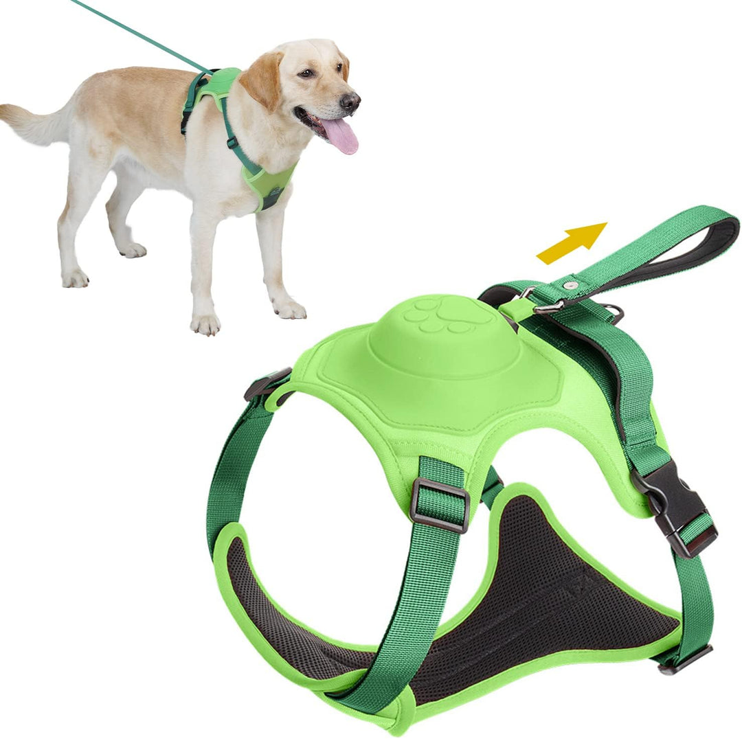 Retractable Hands Free Pet Leash & Harness