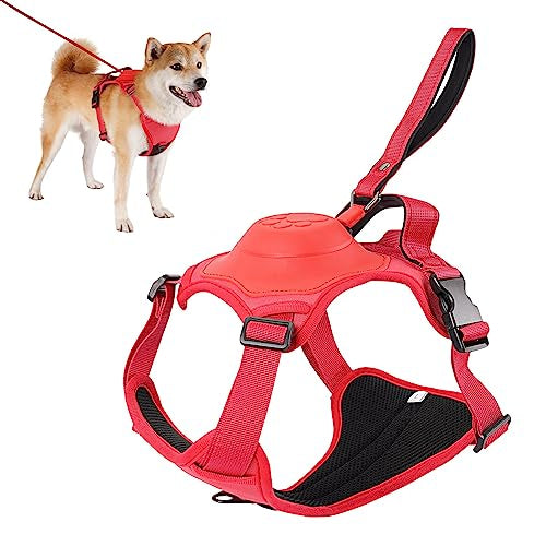 Retractable Hands Free Pet Leash & Harness