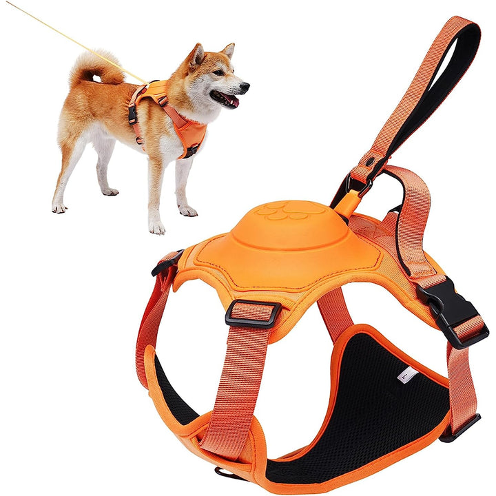 Retractable Hands Free Pet Leash & Harness